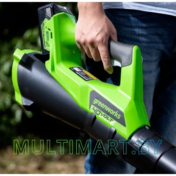 Воздуходувка Greenworks G40AB (без АКБ) картинка 5